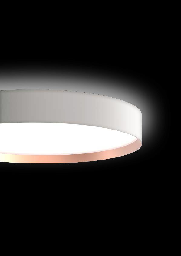 ODELIA-S - Image 2
