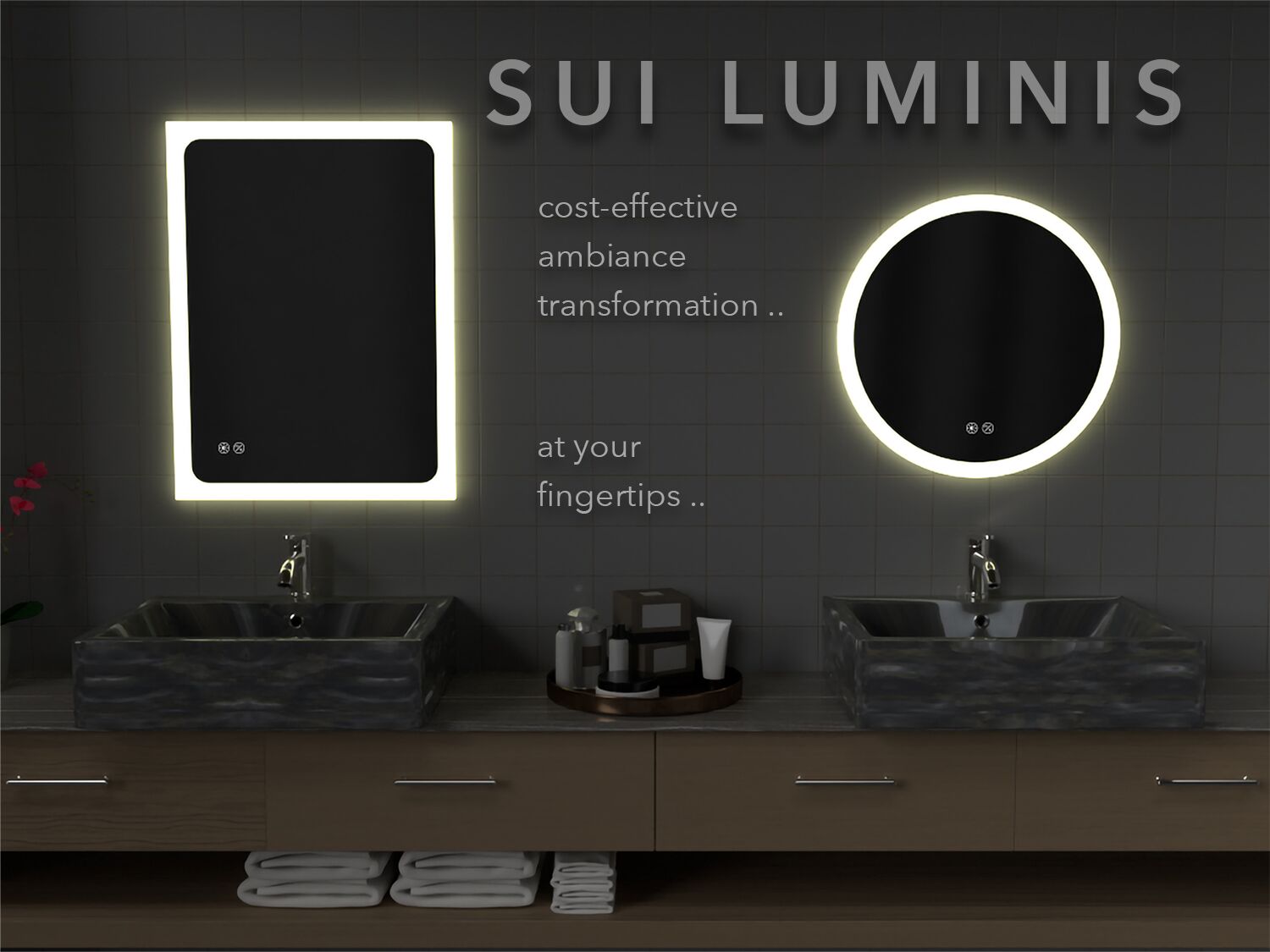 SUI LUMINIS - Image 7