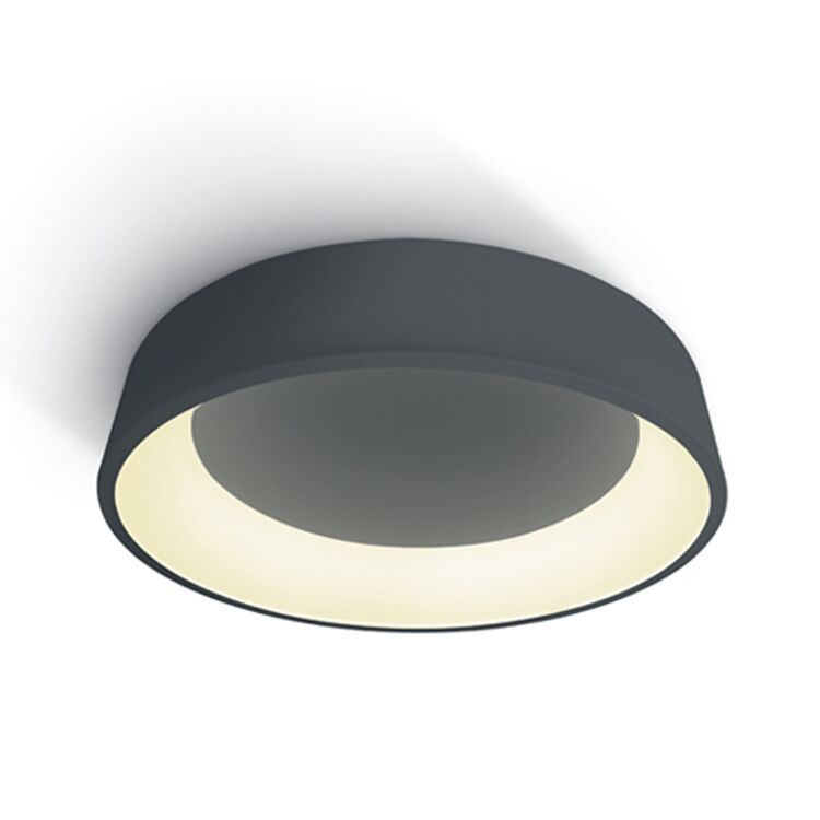 LORAINE (Ceiling Surface)