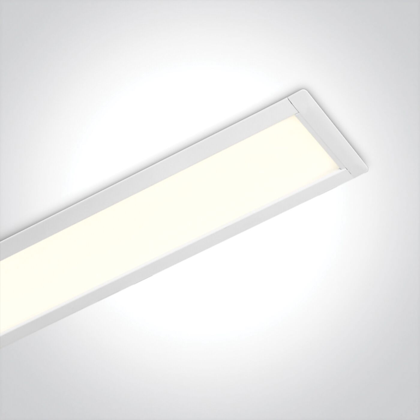 RLINSYS - Image 2