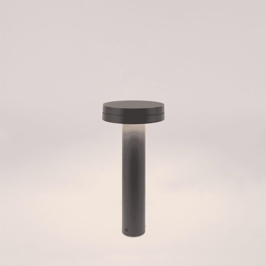 BORG - Image 2